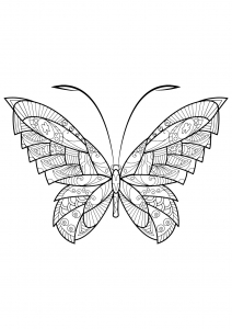 Coloriage papillon jolis motifs 17