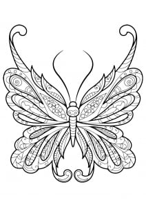 Incroyable papillon aux motifs simples