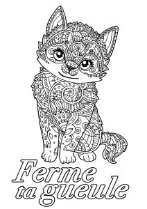 Insultes et Gros mots pour déstresser (EN FRANCAIS) : Gros mots à colorier : Ferme ta gueule