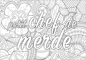 Insultes et Gros mots pour déstresser (EN FRANCAIS) : Insulte à colorier (pour décompresser) : Petit chef de merde