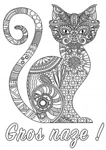 Grossièreté à colorier (pour déstresser) : Gros naze (Coloriage d'Insultes et Gros mots pour déstresser (EN FRANCAIS))