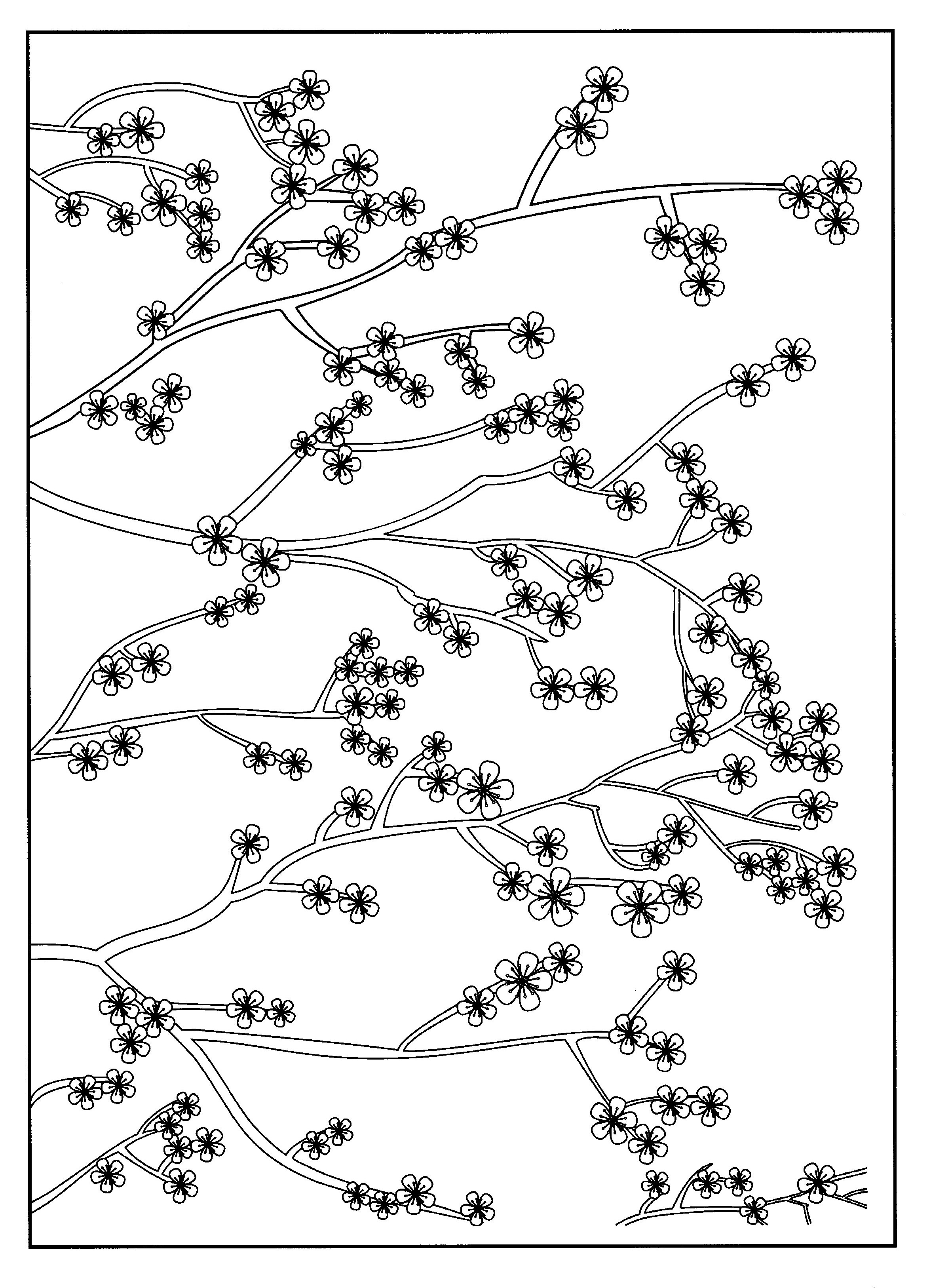 coloriage cerisier japonais