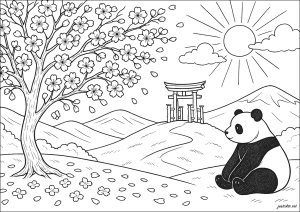 Panda sous des cerisiers du Japon (Coloriage)