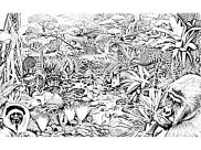 Coloriages de Jungle et Forêt à imprimer pour adultes