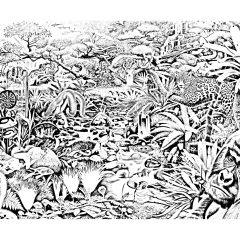 Coloriages de Jungle et Forêt à imprimer pour adultes