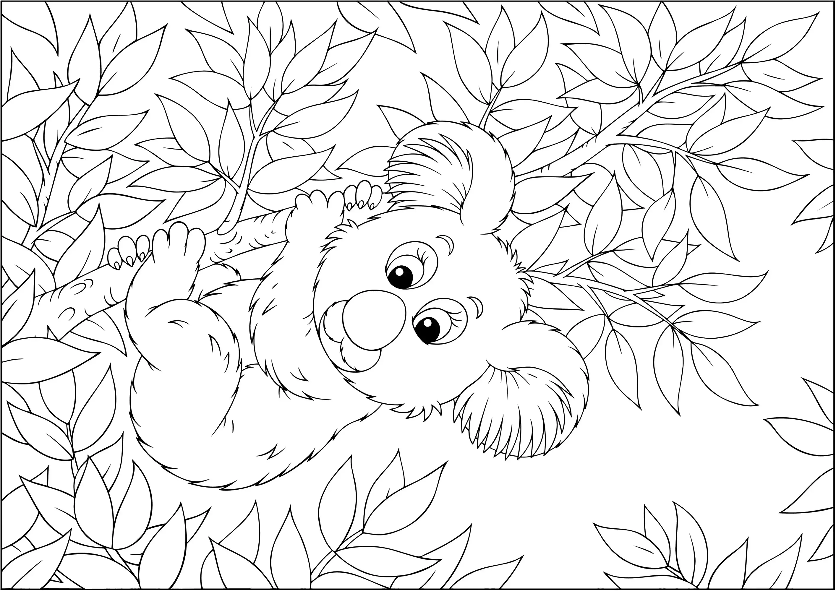 Koala accroché à une branche de bambous (Coloriage à imprimer pour adultes)