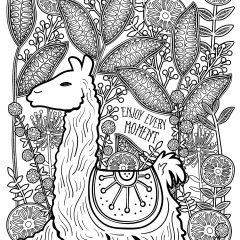 Coloriages de Lamas à imprimer pour adultes