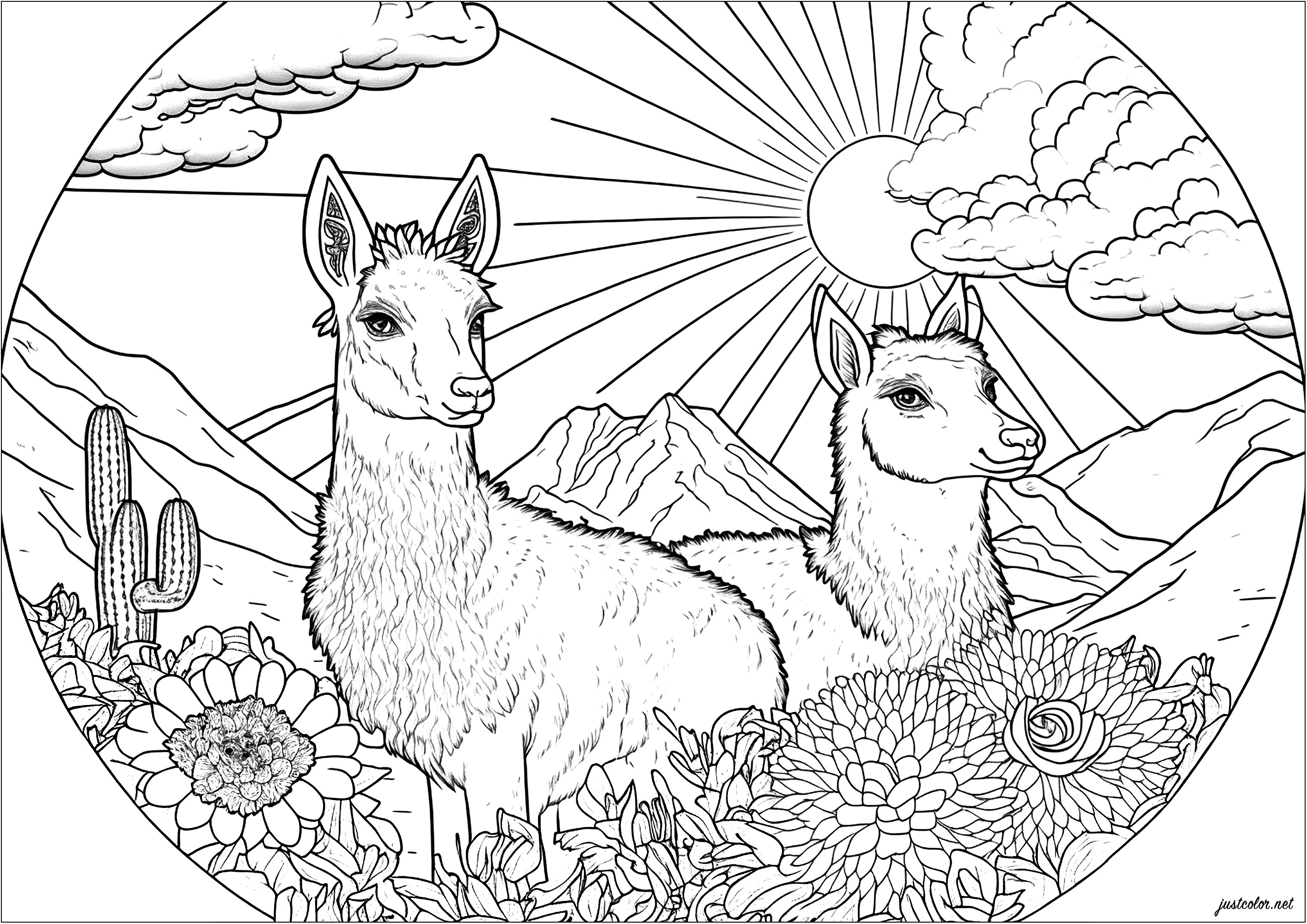 Deux lamas sur un terrain luxuriant, en train de profiter de la chaleur du soleil. Ce coloriage est absolument magnifique! Il représente deux lamas mignons et joyeux, entourés de fleurs multicolores et d'un soleil brillant. La composition est très harmonieuse et donne à ce coloriage une atmosphère de paix et de sérénité, Artiste : IAsabelle