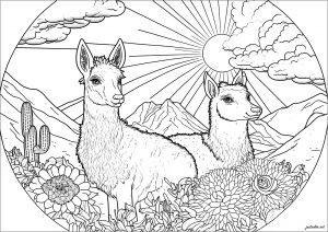 Coloriage lama fleurs et soleil isa
