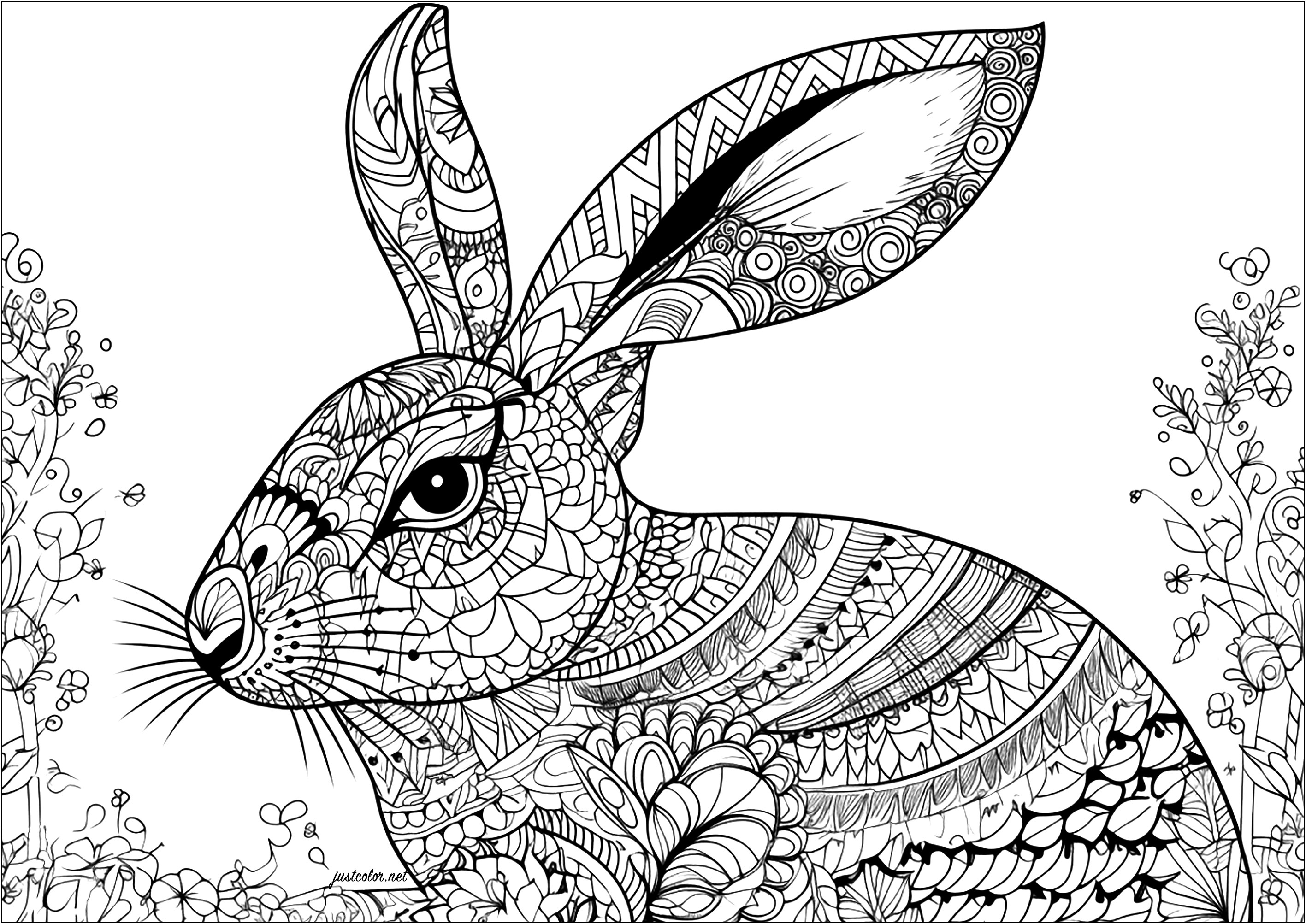 Lapin et motifs complexes. Un magnifique coloriage de lapin comportant de magnifiques motifs complexes et diversifiés. Ce coloriage vous prendra beaucoup de temps mais vous procurera un apaisement optimal.