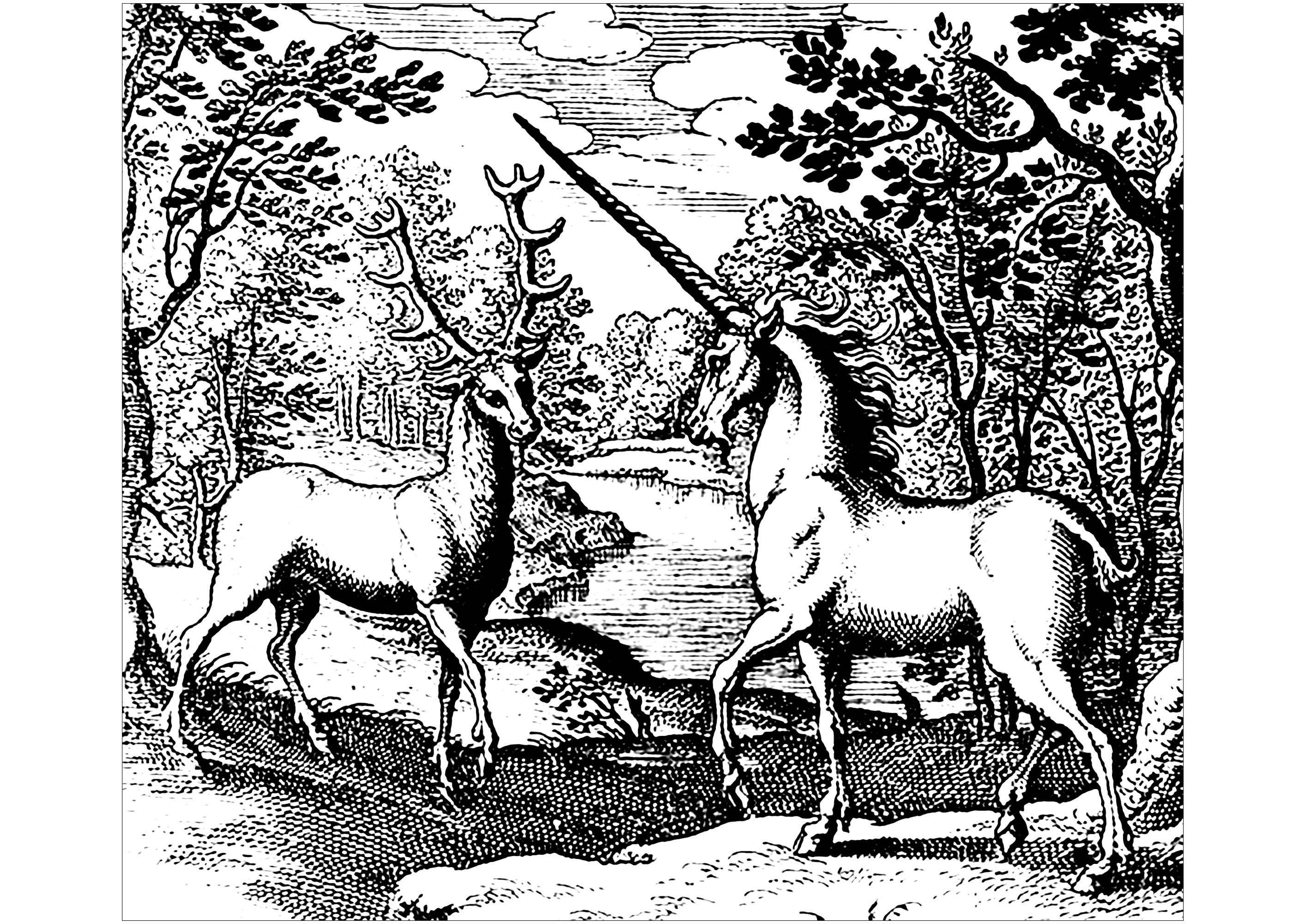 Coloriage réalisé à partir d'une gravure sur bois représentant une licorne et un cerf. (Hermannum à Sande, vers 1677-1678)