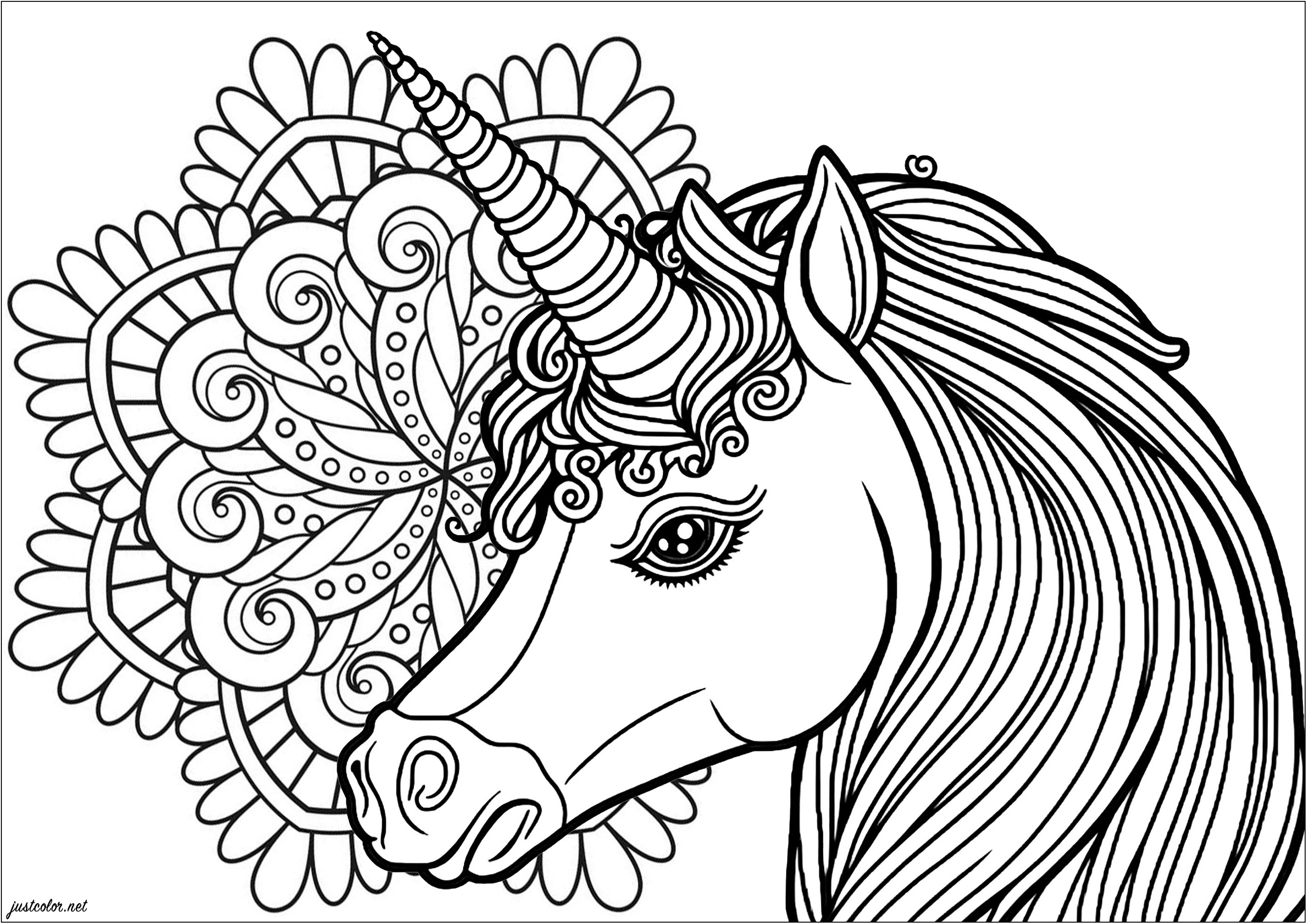 Profil de Licorne avec un joli Mandala en arrière-plan. Transformez chaque passage de votre feutre en un rayon de magie et laissez votre imagination galoper librement, en coloriage cette jolie licorne et ce mandala inspirant.
