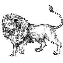 Coloriages de Lions à imprimer pour adultes
