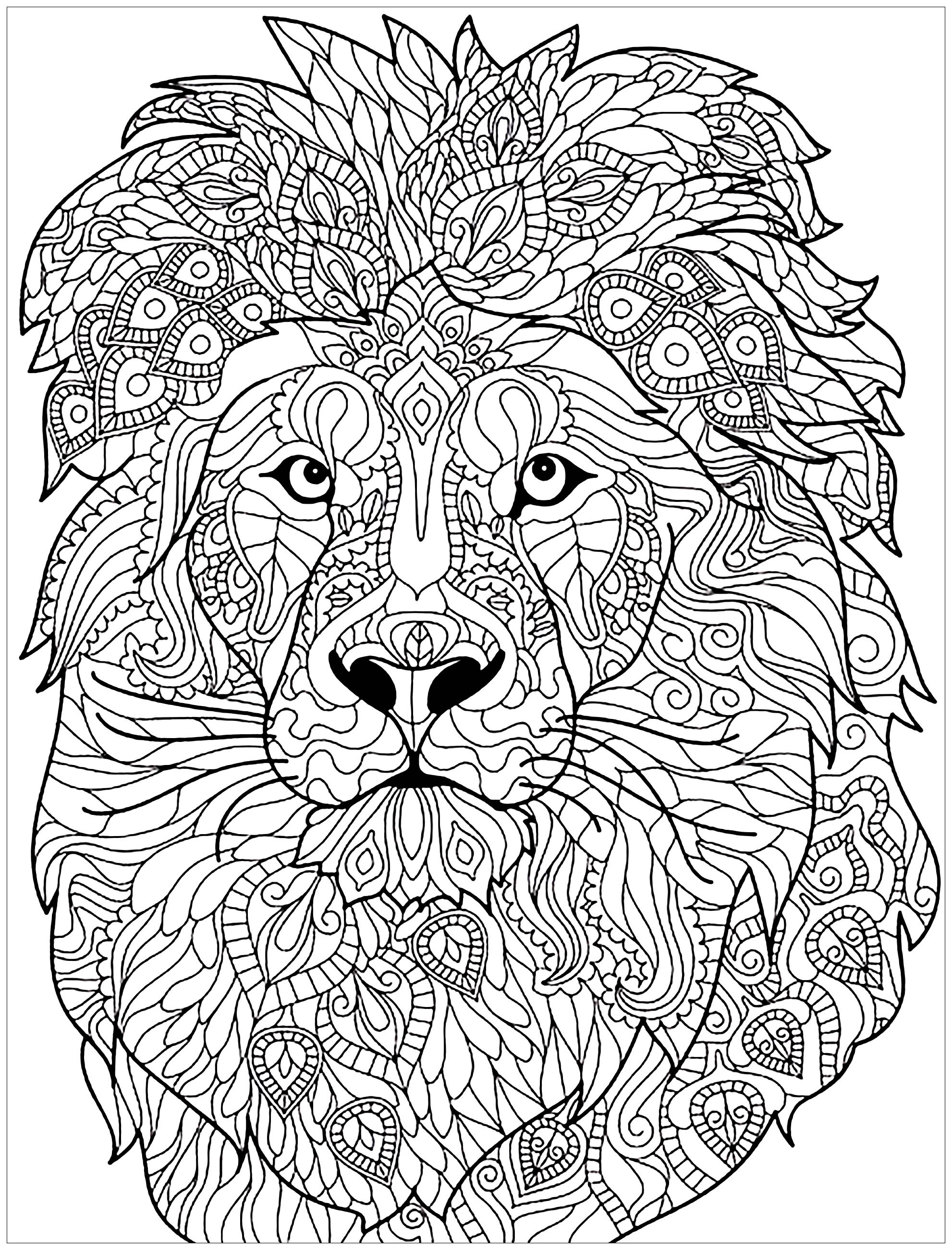 Lion motifs complexes Lions Coloriages difficiles pour