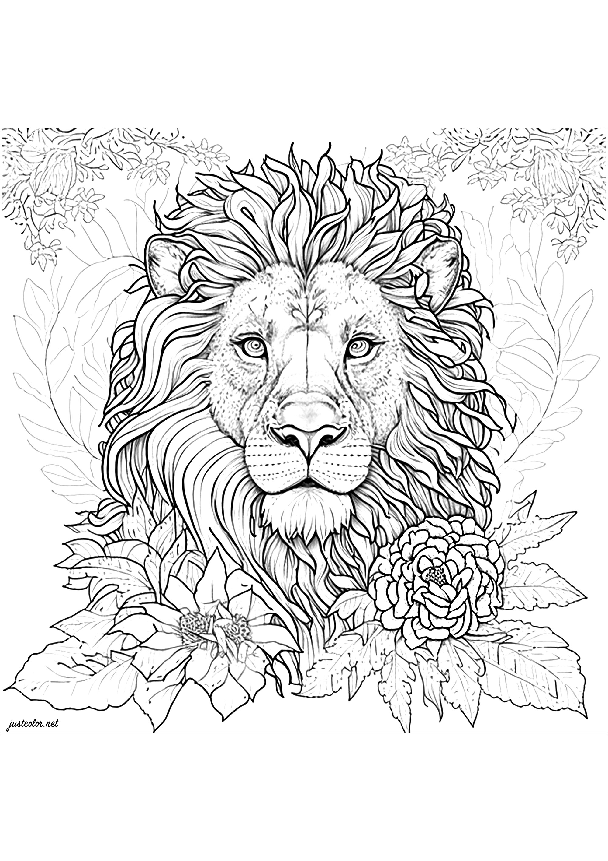 Coloriage d'un lion entouré de jolies fleurs. Ce dessin de lion est ultra réaliste et détaillé ! Prenez votre temps pour colorier chaque partie de sa belle crinière, et toute la végétation qui l'entoure.