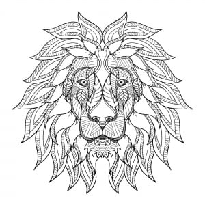 Coloriage de à imprimer pour adultes : Tête de lion et jolie crinière