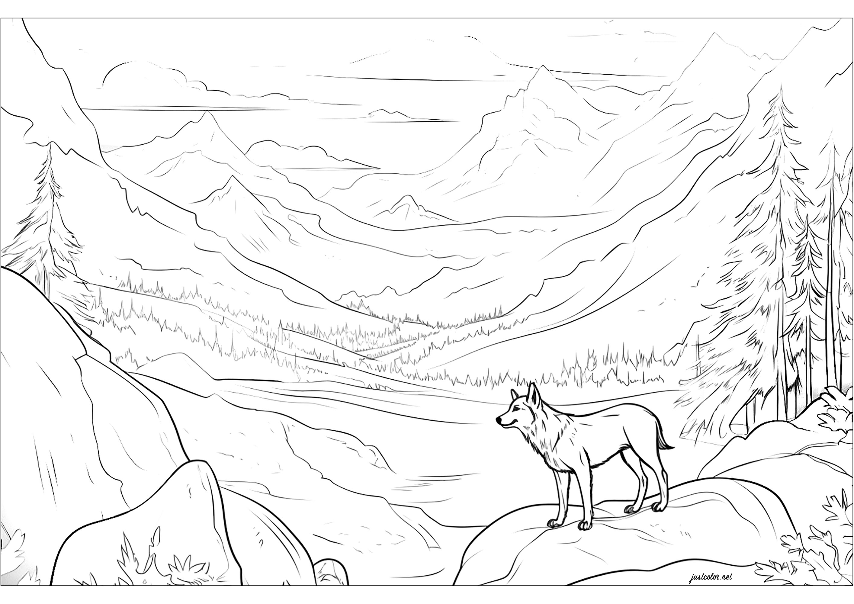 Joli loup admirant un paysage montagneux. Les montagnes se dressent majestueusement, avec leurs sommets enneigés se détachant sur l'horizon