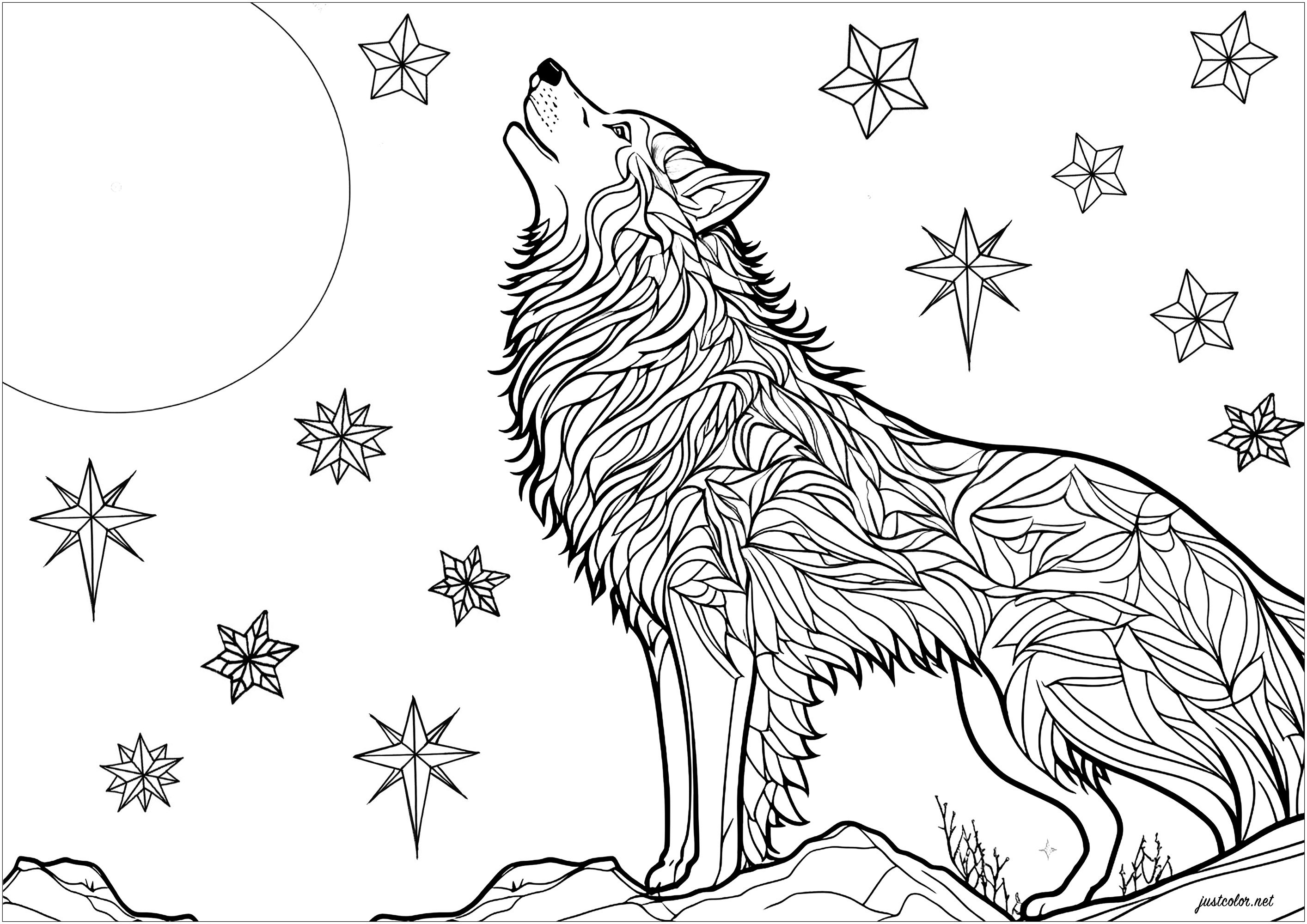 Coloriage d'un loup hurlant au clair de lune. Magnifique scène avec un loup hurlant pendant la nuit, posé sur un rocher. On peut voir des étoiles scintillantes dans le ciel nocturne. Les motifs de la fourrure du loup peuvent être colorés indépendamment, pour un résultat plein de mystère et de magie, Artiste : IAsabelle Coloriage d'un loup hurlant au clair de lune. Magnifique scène avec un loup hurlant pendant la nuit, posé sur un rocher. On peut voir des étoiles scintillantes dans le ciel nocturne. Les motifs de la fourrure du loup peuvent être colorés indépendamment, pour un résultat plein de mystère et de magie, Artiste : IAsabelle