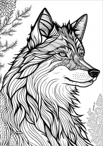 Magnifique loup vu de profil (Coloriage)