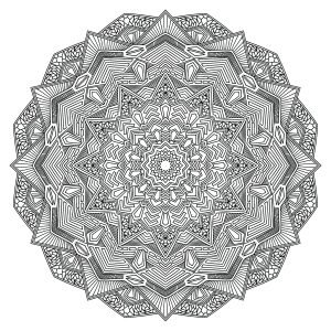Mandala floral très complexe