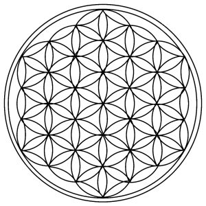 Cercles géométriques / rosaces