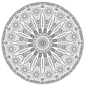 Superbe Mandala complexe avec fleurs