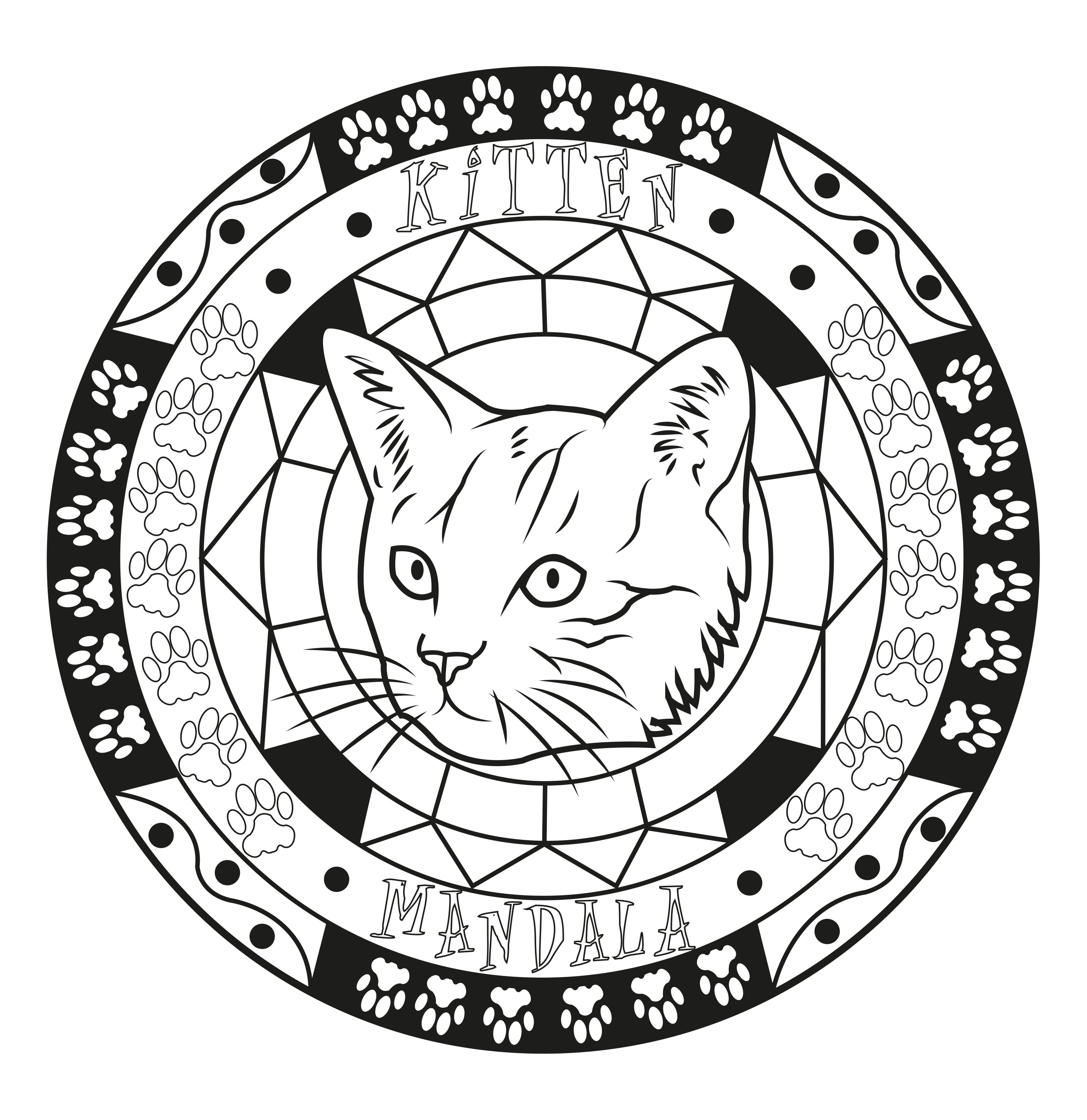 Coloriage d'un Mandala sur le thème des chats, Artiste : Allan