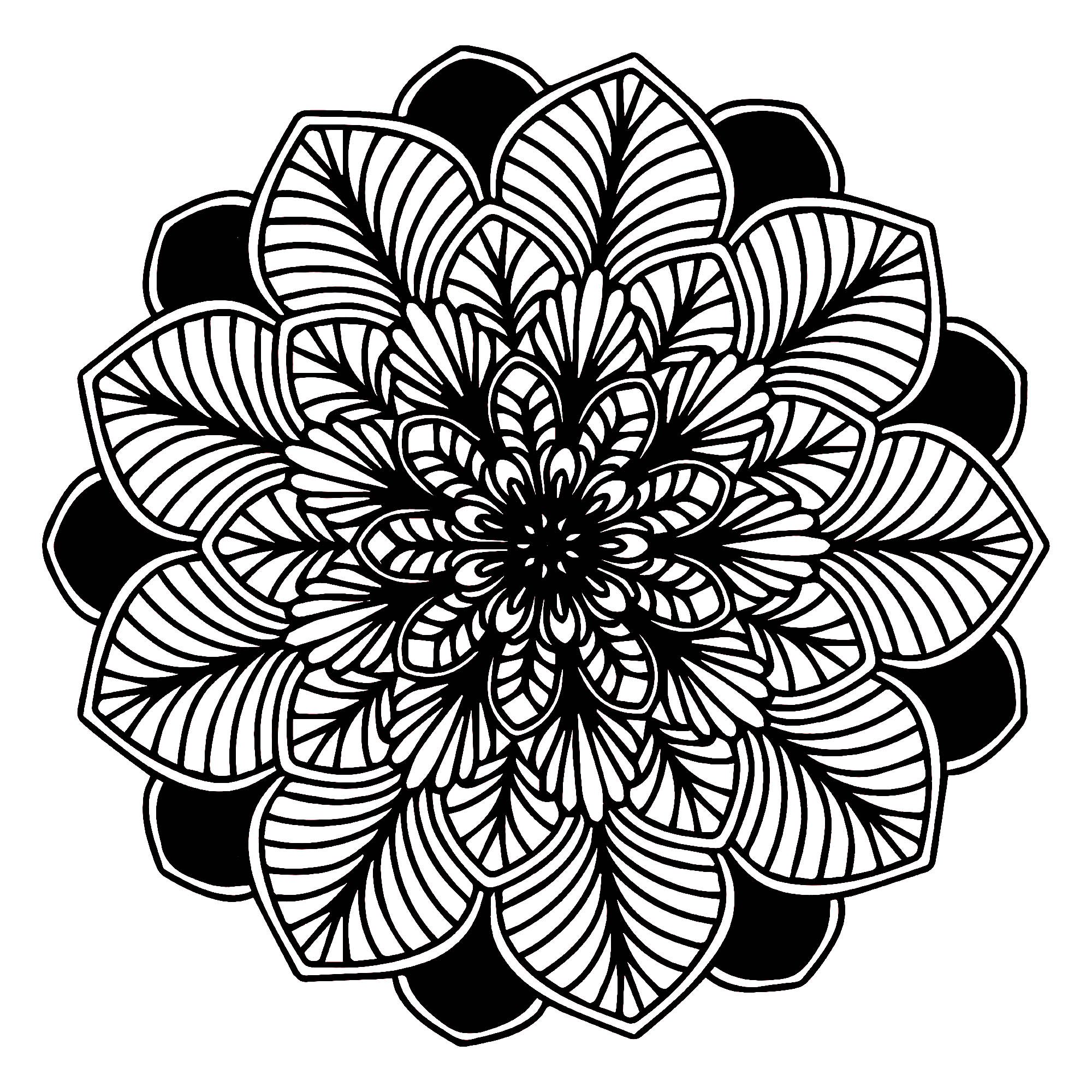 Joli Mandala Noir & blanc composé de feuilles totalement symétriques