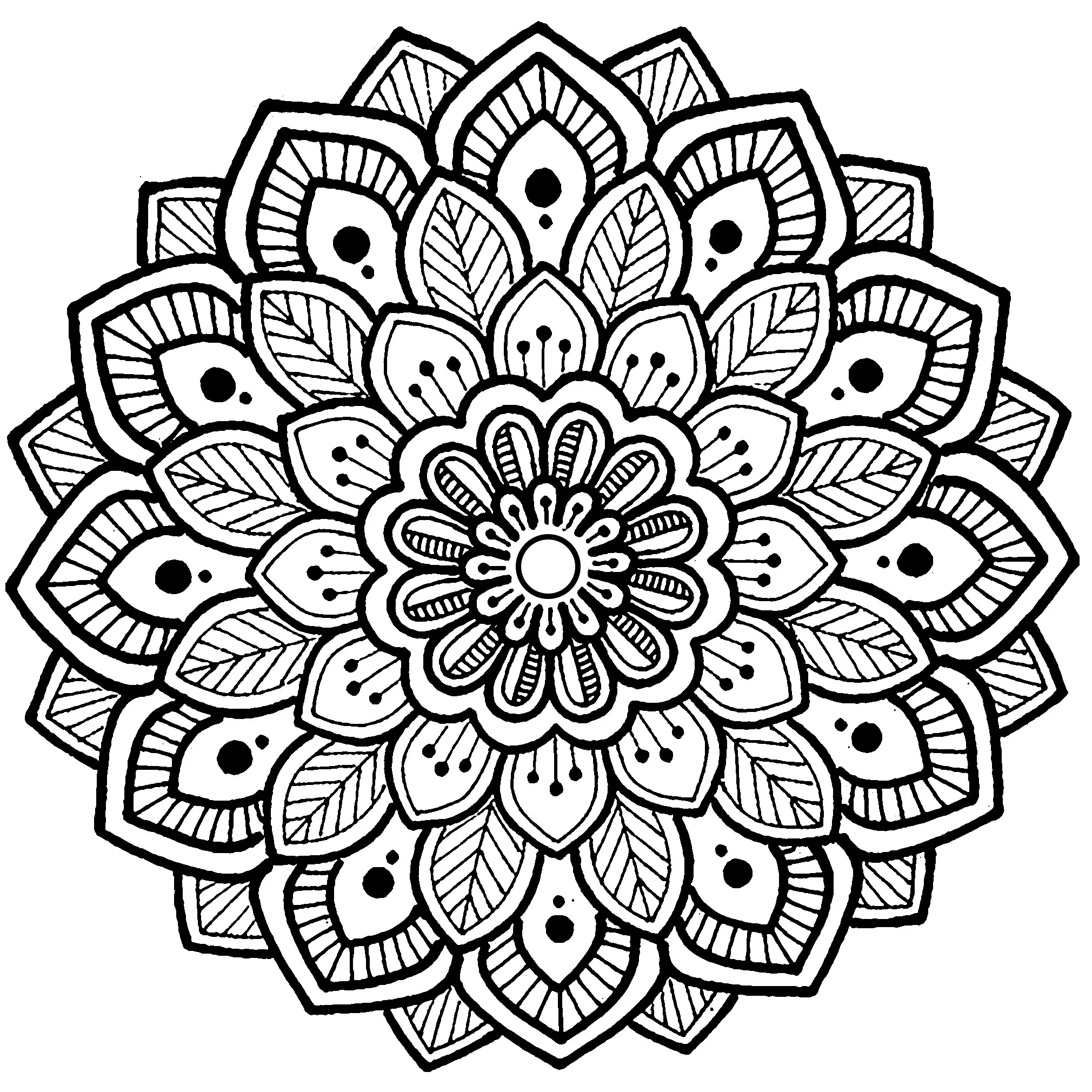 Mandala aux traits épais avec de belles feuilles symétriques (Coloriage à imprimer pour adultes)