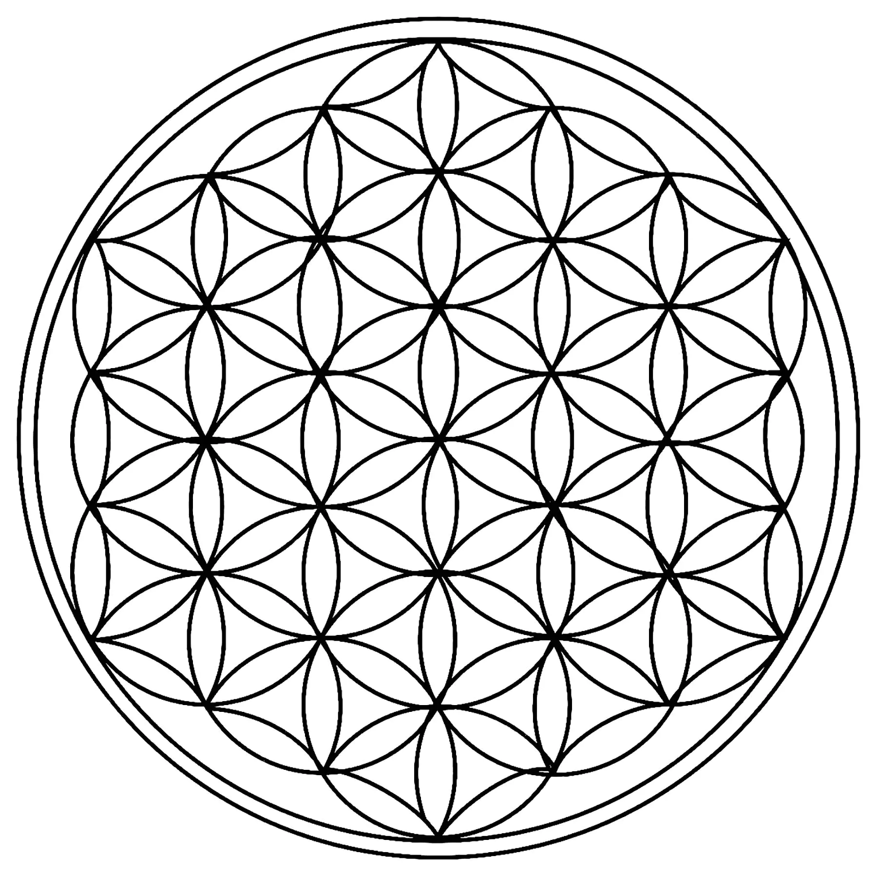 Cercles géométriques / rosaces (Coloriage de Mandalas à imprimer pour adultes)