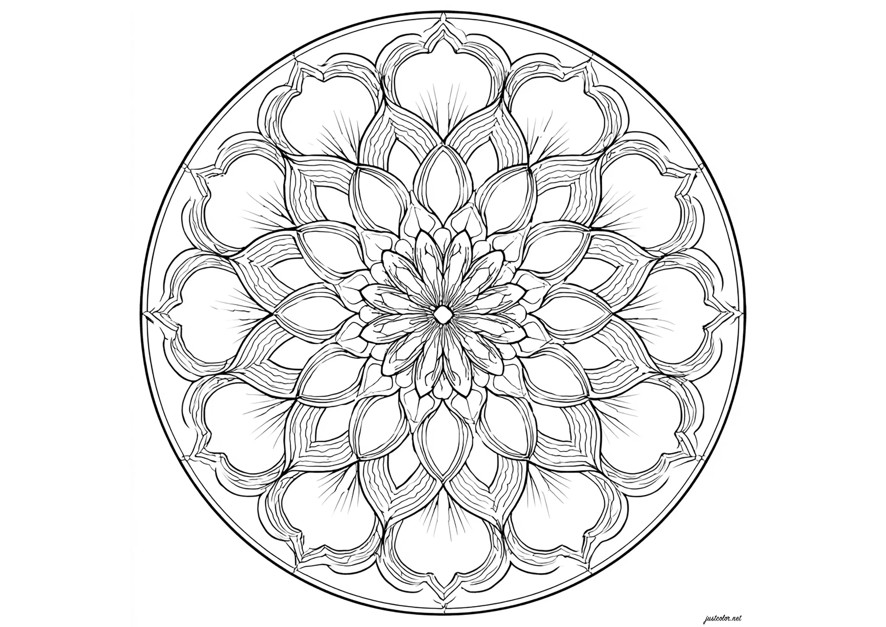 Joli Mandala avec de grands pétales (Coloriage à imprimer pour adultes)