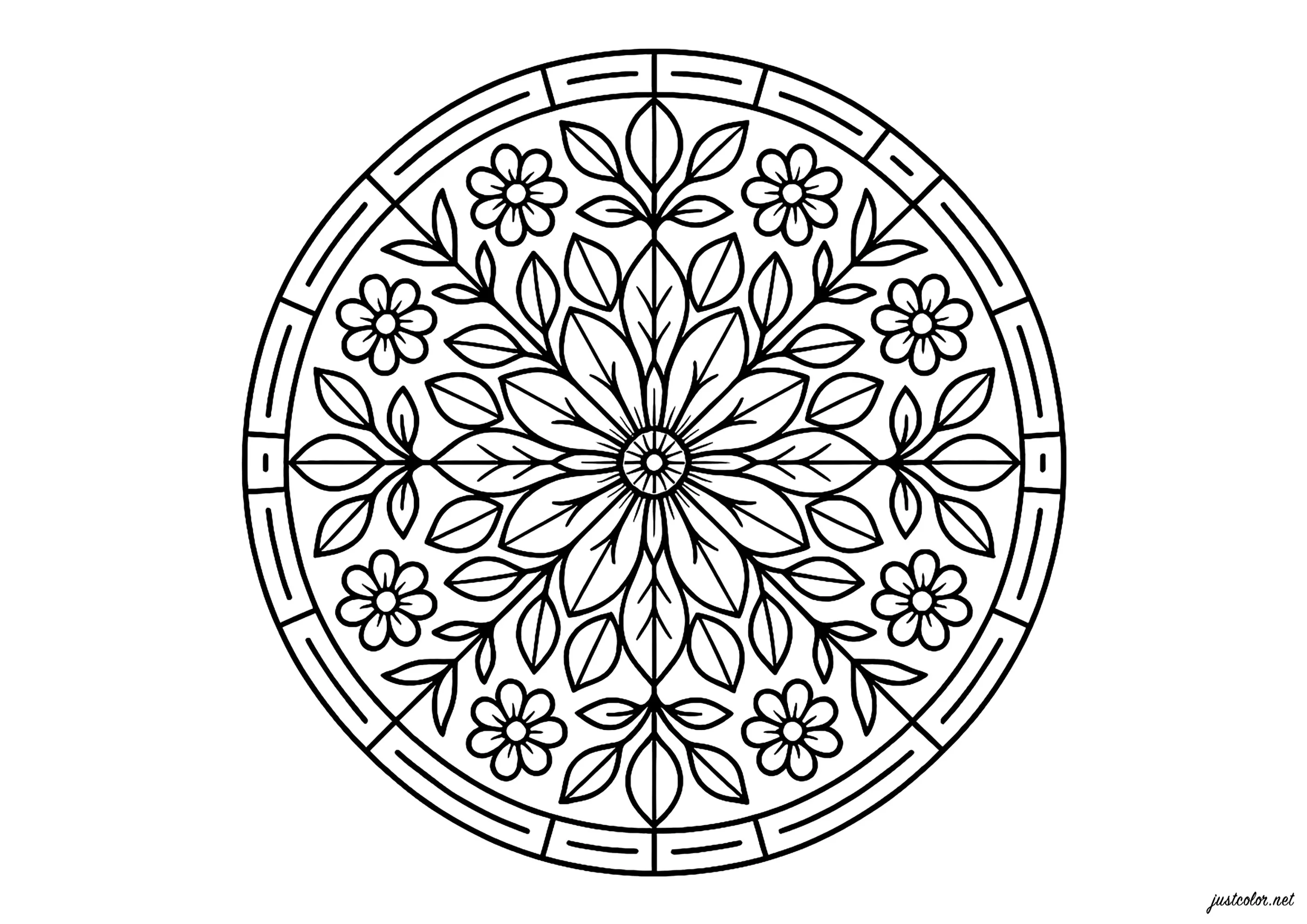 Mandala floral symétrique (Coloriage à imprimer pour adultes)