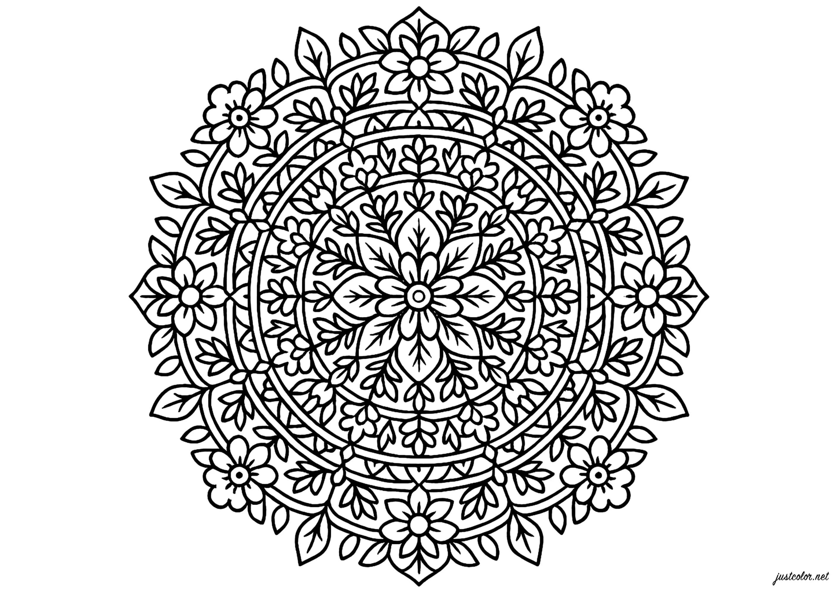 Mandala floral aux motifs élégants (Coloriage à imprimer pour adultes)