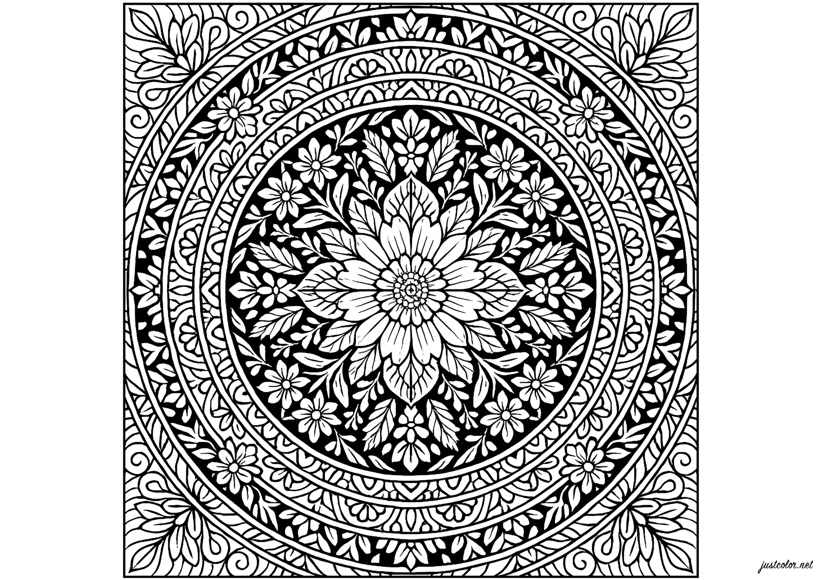 Mandala floral aux motifs envoûtants (Coloriage à imprimer pour adultes)