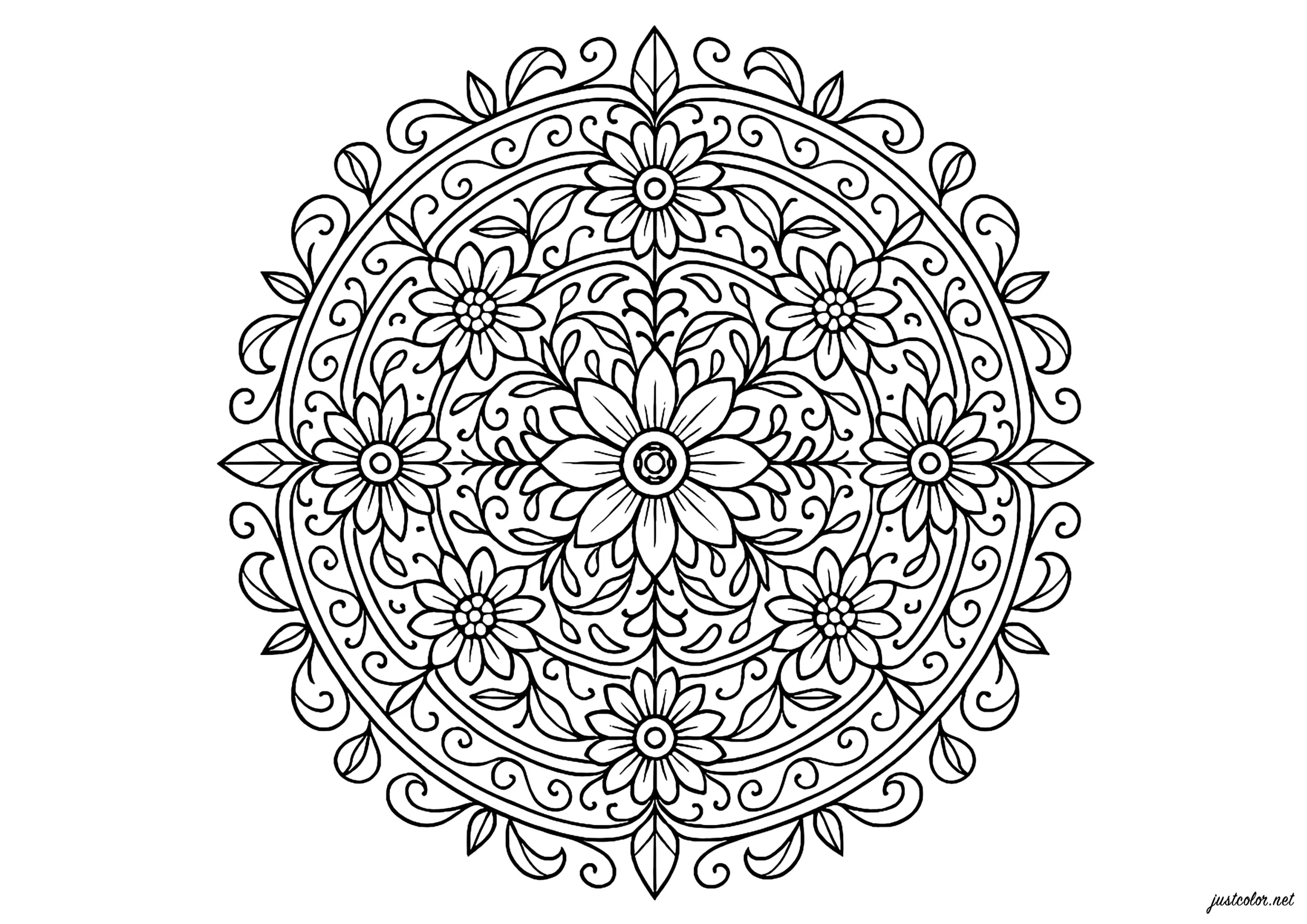 Symphonie florale en motifs circulaires (Coloriage de Mandalas à imprimer pour adultes)