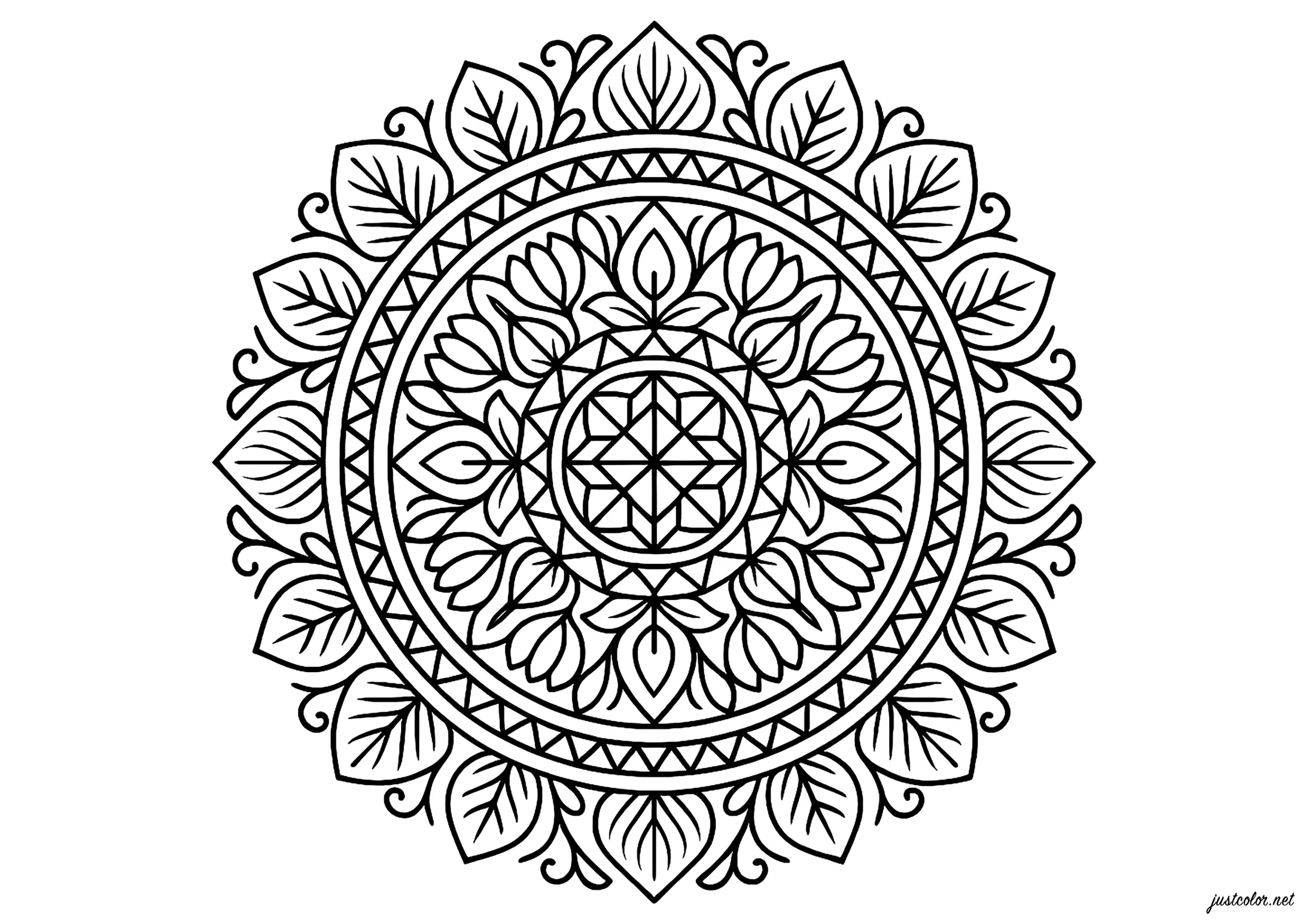Mandala Géométrique et Naturel (Coloriage à imprimer pour adultes)