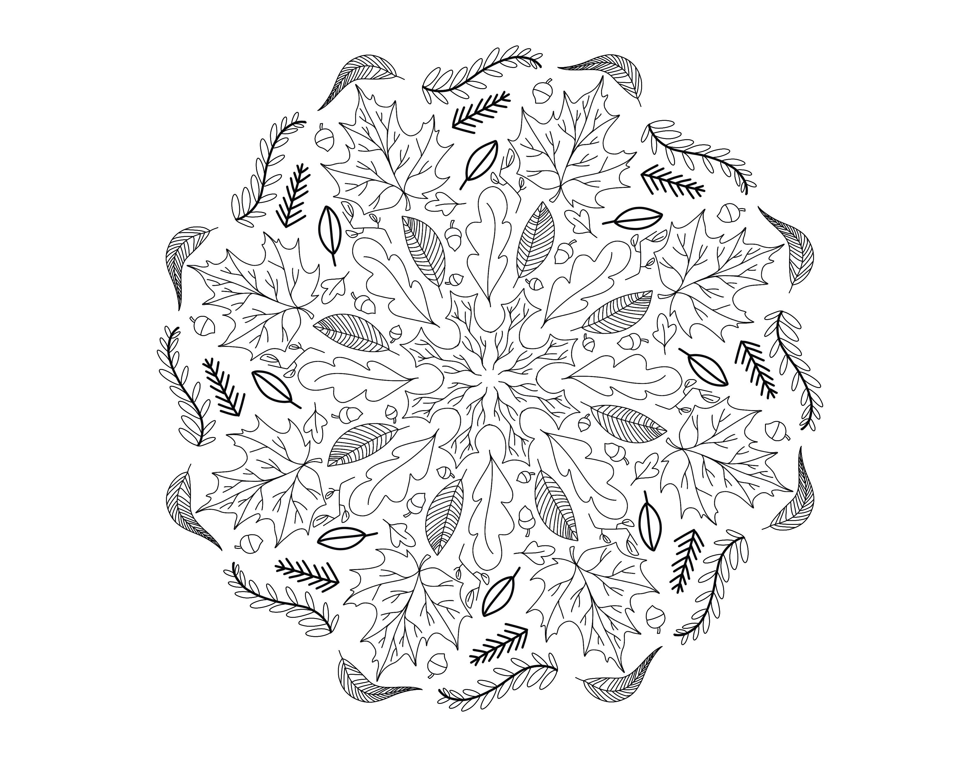Mandala d'Automne  Mandalas  Coloriages difficiles pour adultes