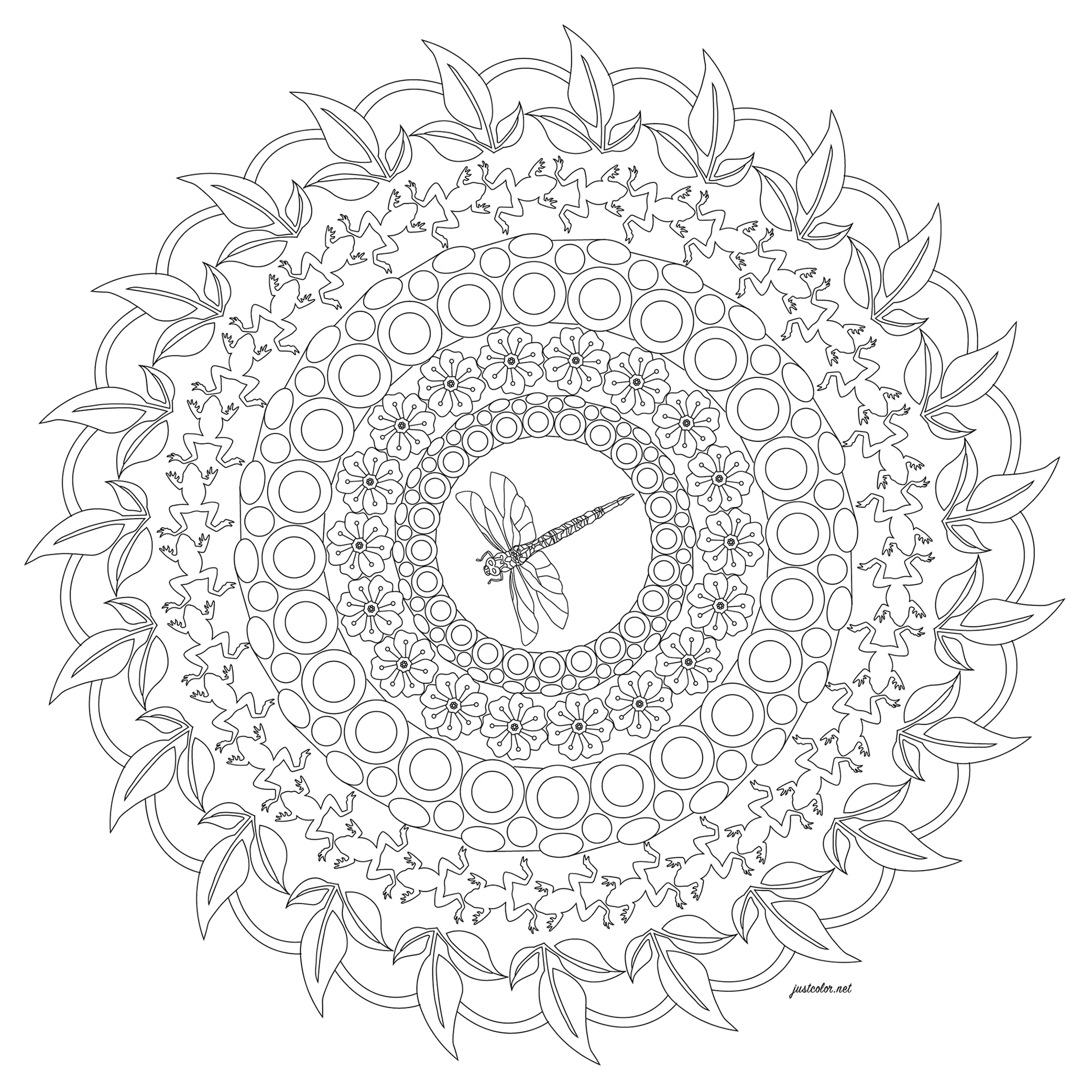 Mandala et libellule (Coloriage de Morgan à imprimer pour adultes)