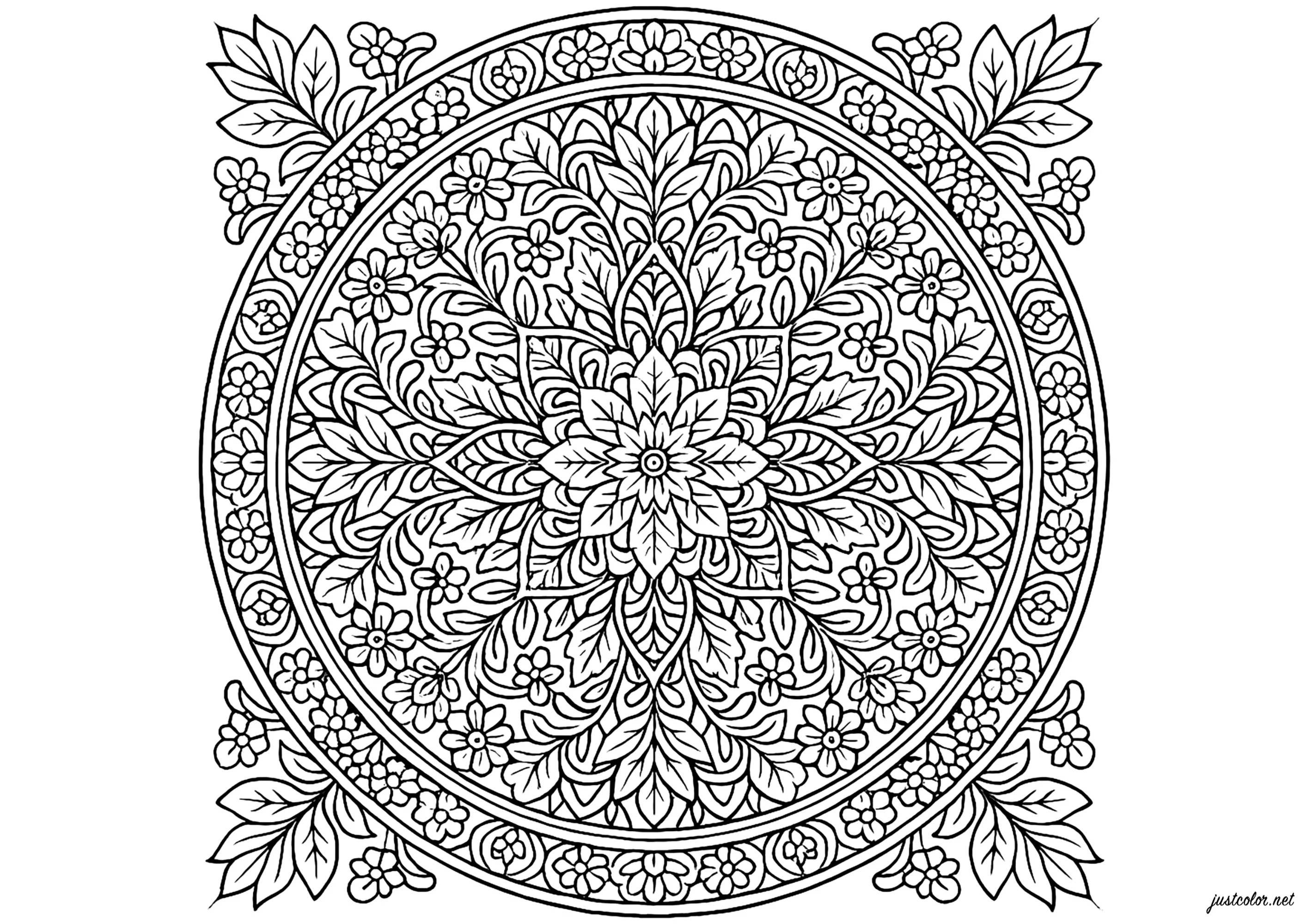 Mandala Naturel Complexe (Coloriage à imprimer pour adultes)