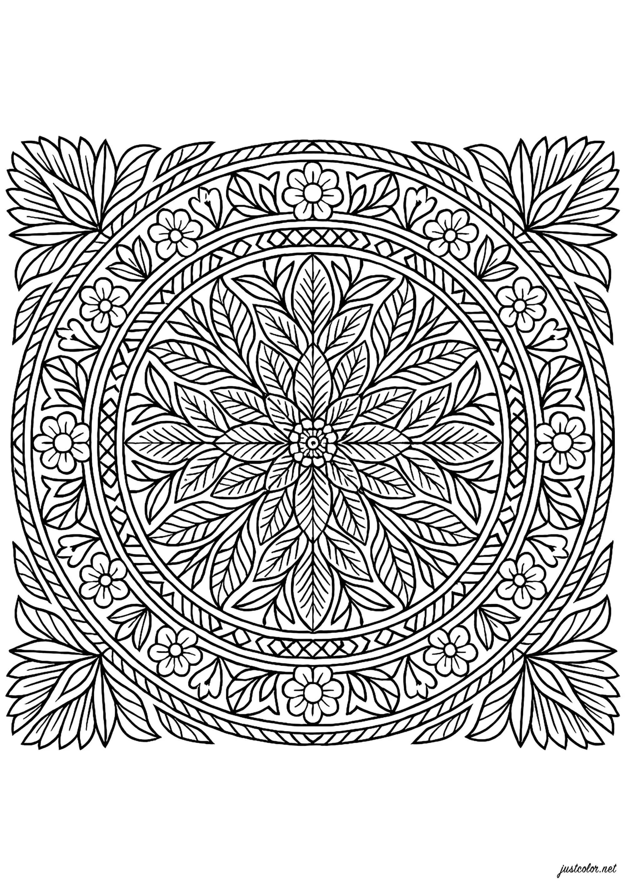 Nature Complexe (Coloriage de Mandalas à imprimer pour adultes)