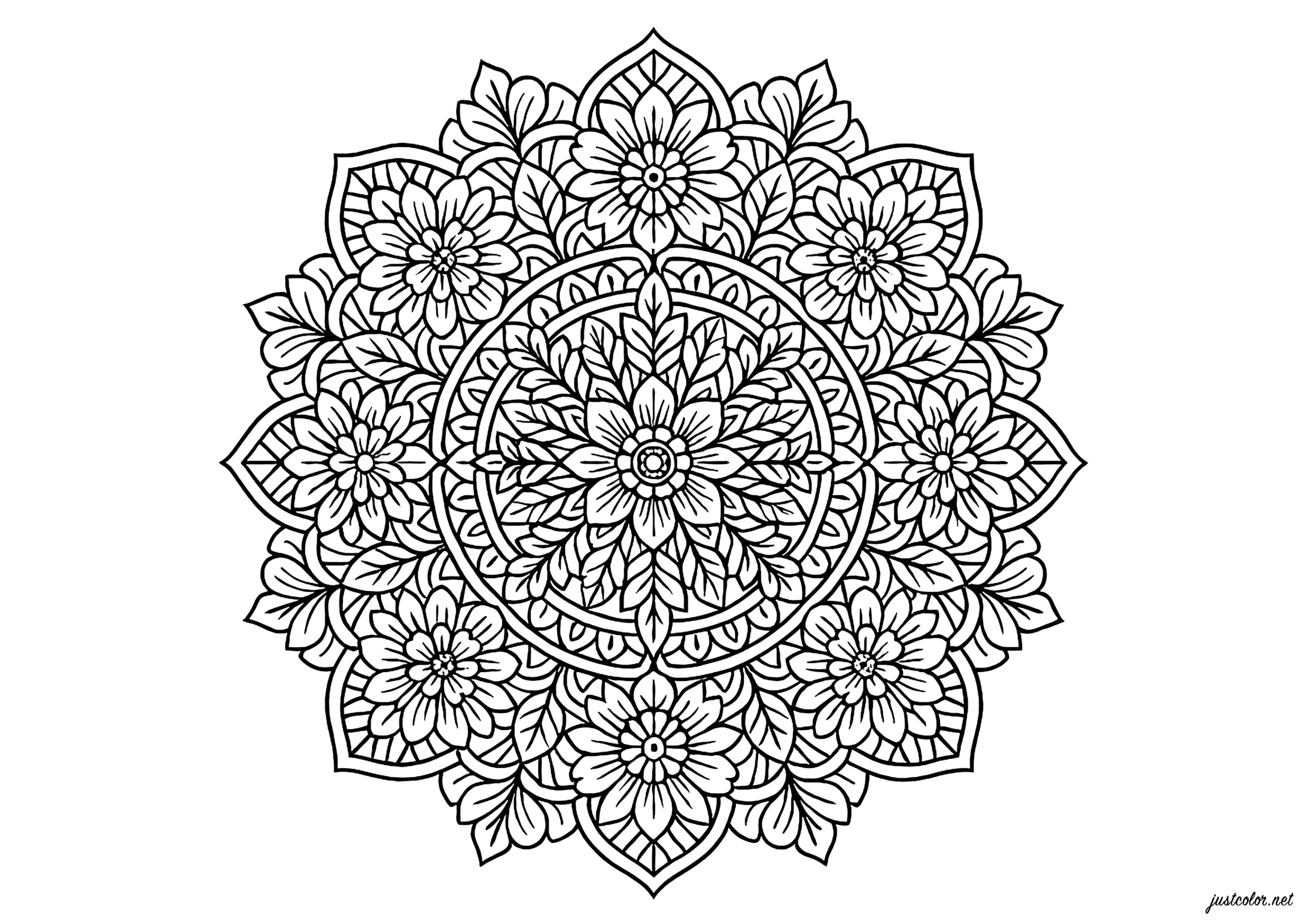 Mandala Nature Complexe (Coloriage à imprimer pour adultes)