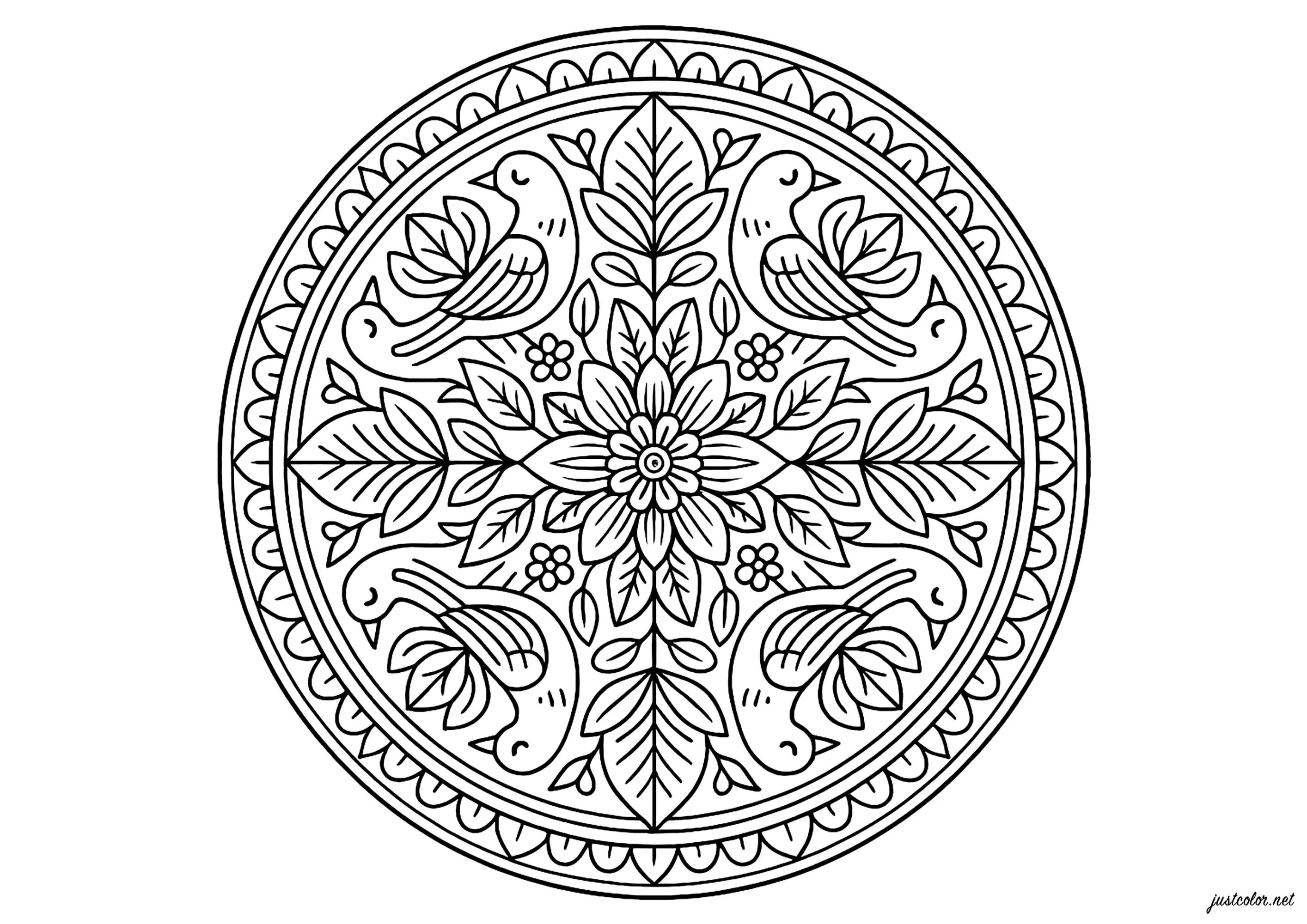 Mandala Naturel Complexe (Coloriage à imprimer pour adultes)