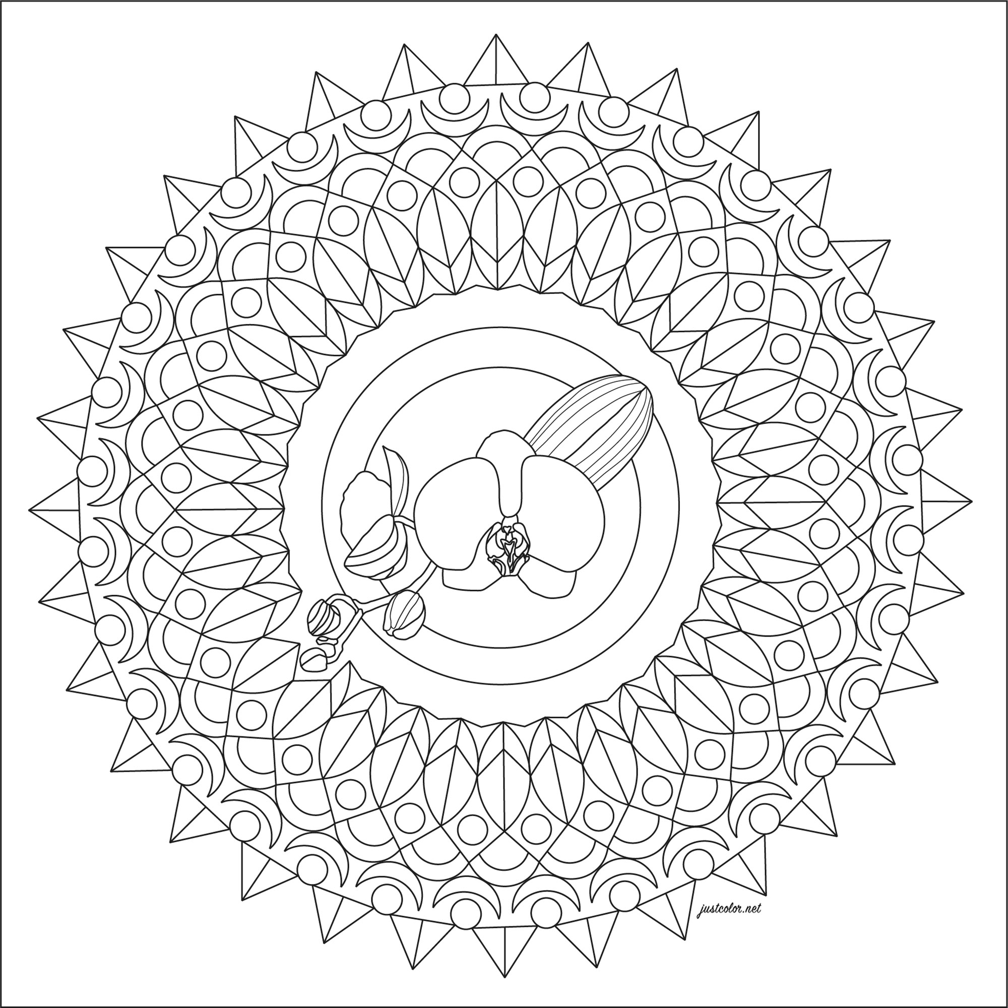 Une jolie orchidée au centre d'un Mandala à imprimer et colorier, Artiste : Morgan