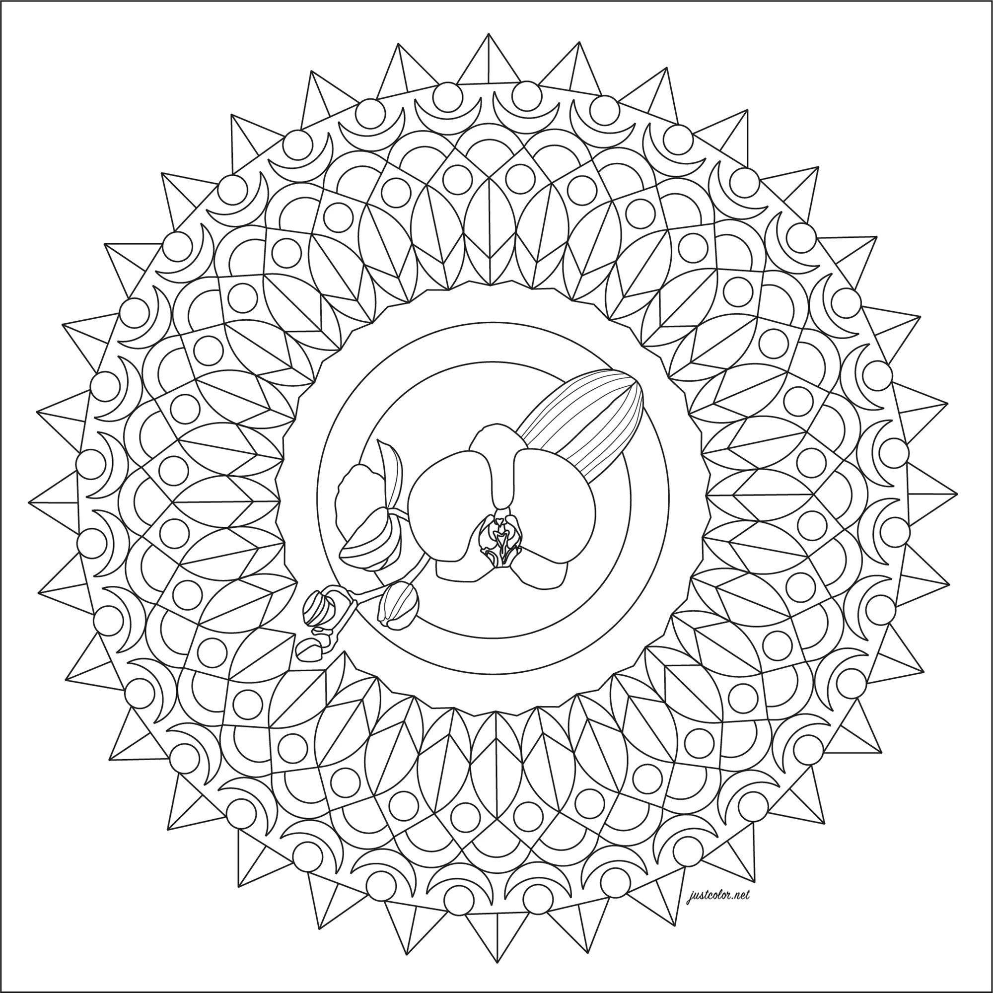 Mandala et orchidée (Coloriage de Morgan à imprimer pour adultes)