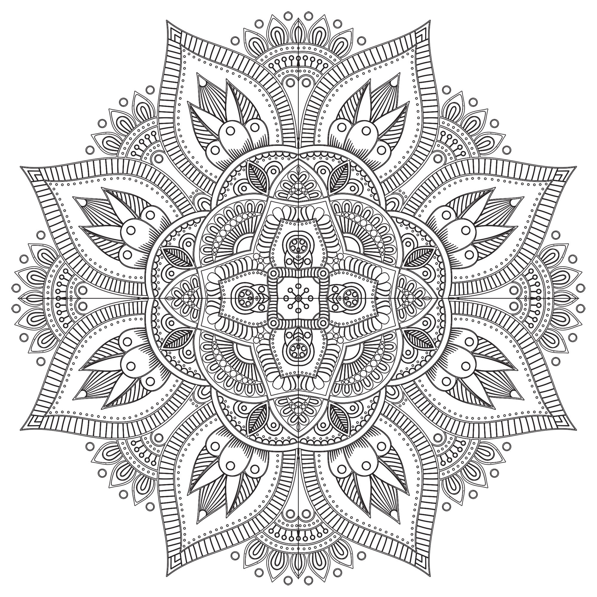 Coloriage mandala adulte anti-stress: 80 mandalas à colorier pour