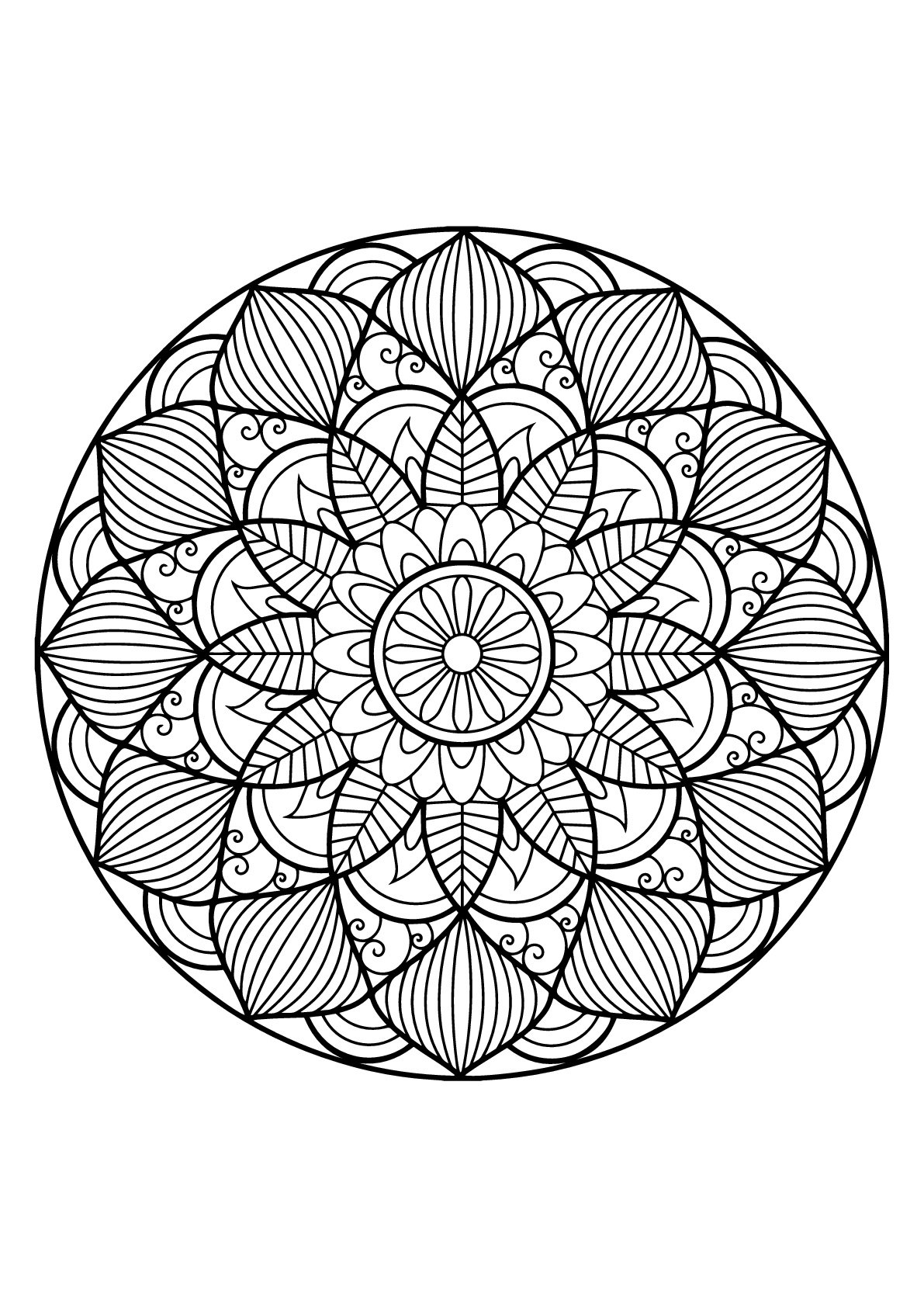 Coloriage Numerote A Imprimer