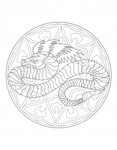 Coloriage mandala dragon 4