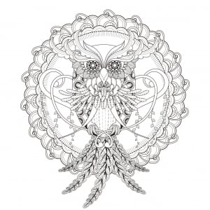 mandala-chouette-par-kchung (Coloriage)