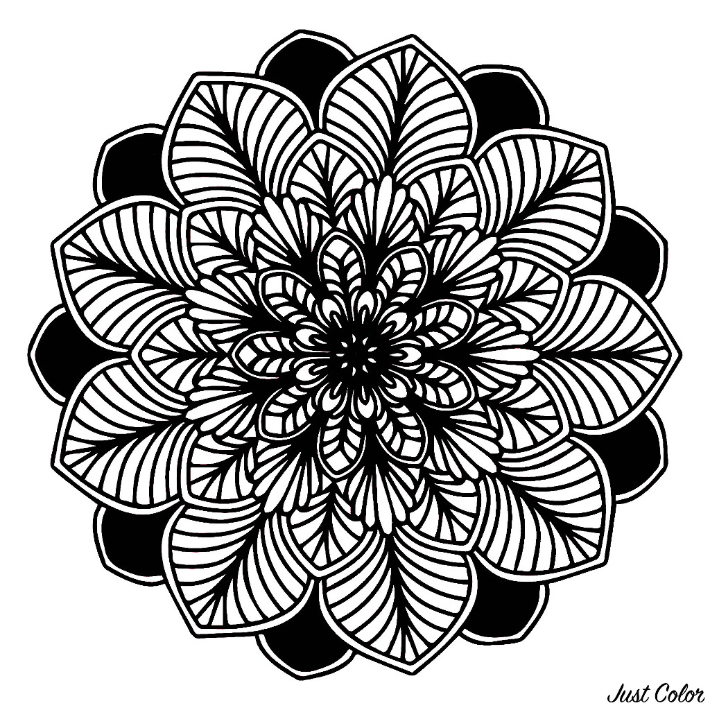 Joli Mandala Noir & blanc composé de feuilles totalement symétriques