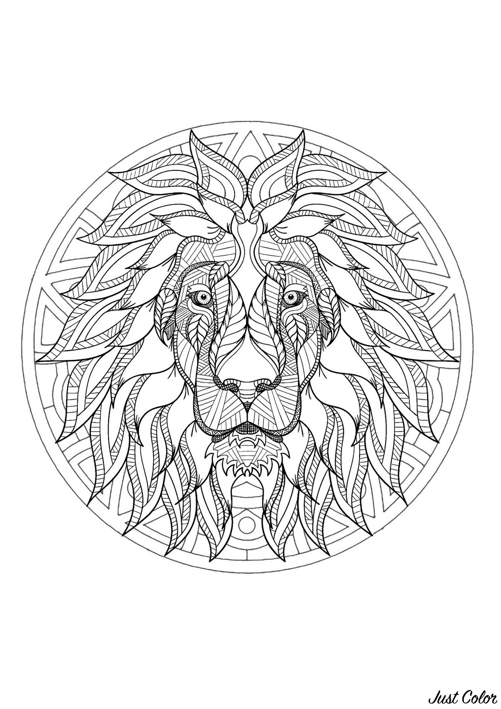 Mandala composé d'une tête de lion - 3